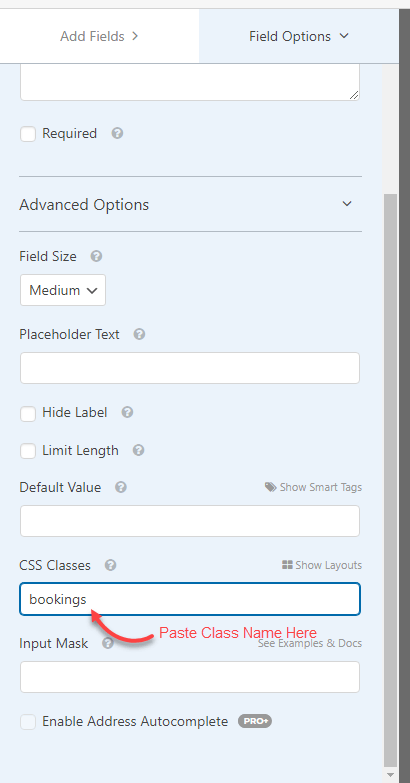 Add Class Name for integrated booking system in WPForms
